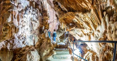 Экскурсии в Скельская пещера из Табачного 2024